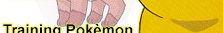 trainingtop.JPG (14092 bytes)